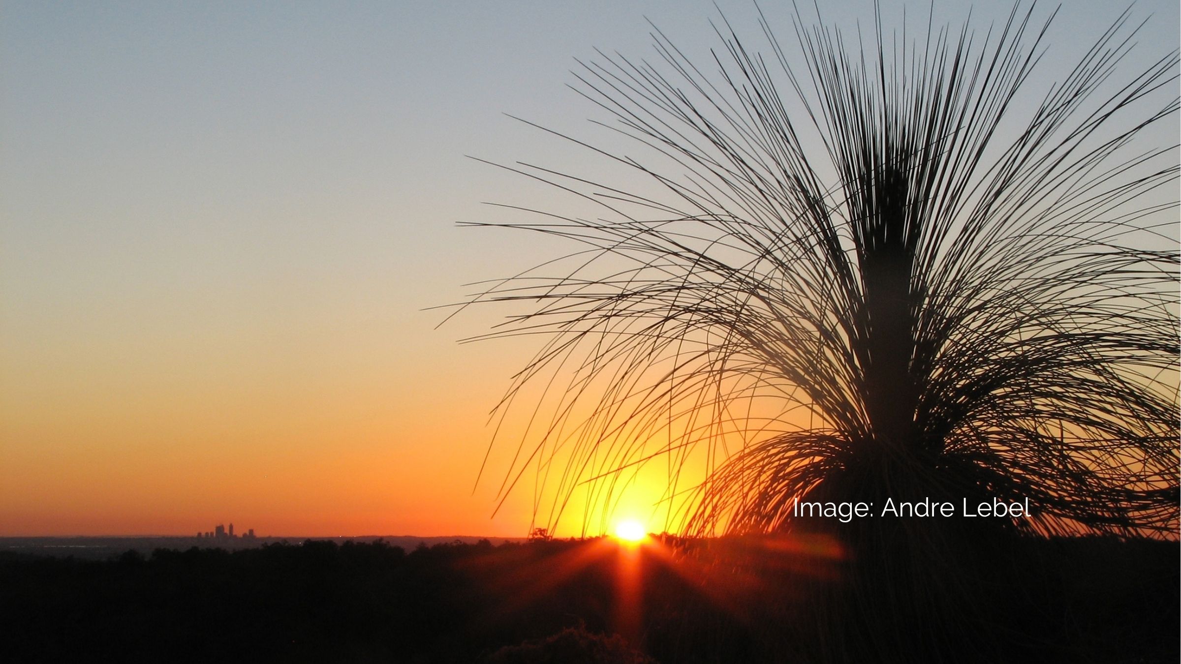 Mundaring Experience Perth Hills Mundaring Sunset over the Perth Hills in the Shire of Mundaring with a grass tree silhouette in the foreground.